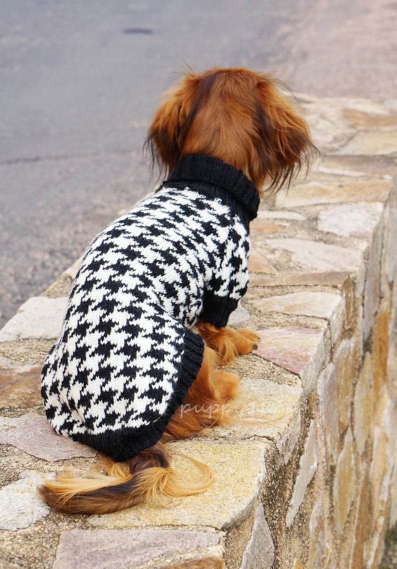 Dog knit sweater houndstooth - Dachshund Sweater - Dog Clothes - Wiener dog -Dachshund coat -Dog winter clothes - Dackel -Custom Dog Clothes