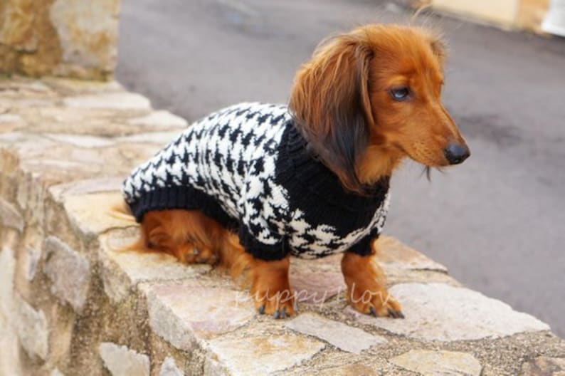 Dog knit sweater houndstooth - Dachshund Sweater - Dog Clothes - Wiener dog -Dachshund coat -Dog winter clothes - Dackel -Custom Dog Clothes