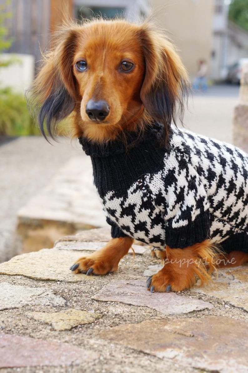 Dog knit sweater houndstooth - Dachshund Sweater - Dog Clothes - Wiener dog -Dachshund coat -Dog winter clothes - Dackel -Custom Dog Clothes