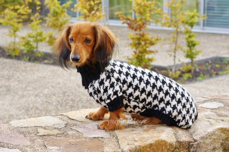 Dog knit sweater houndstooth - Dachshund Sweater - Dog Clothes - Wiener dog -Dachshund coat -Dog winter clothes - Dackel -Custom Dog Clothes