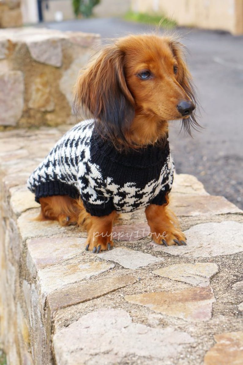 Dog knit sweater houndstooth - Dachshund Sweater - Dog Clothes - Wiener dog -Dachshund coat -Dog winter clothes - Dackel -Custom Dog Clothes