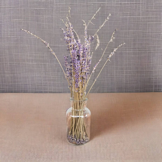 Natural Dried Small French Lavender Bunch